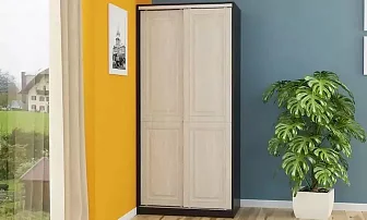 Шкаф-купе двухдверный 804 Сибирь