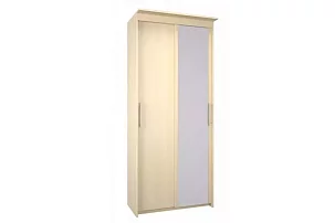 Шкаф-купе Эконом Миллениум 884х2400х423 зеркало