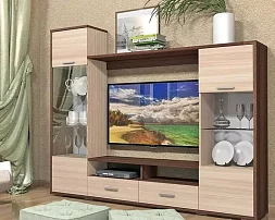 Гостиная Флорин