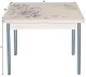 Стол обеденный поворотно-раскладной с фотопечатью Симпл Кофейные цветы/Серебристый металлик